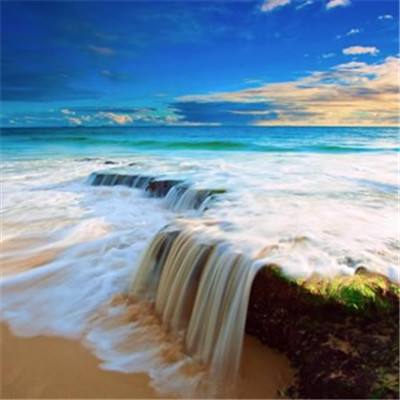 beat365平台下载手机版